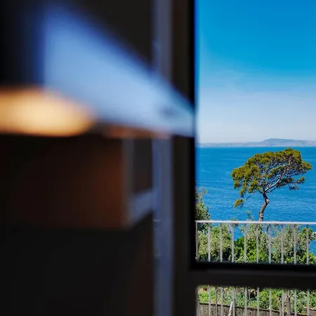Apartment Preziosa Al Pizzo 3 Km Da Sorrento Sant'Agnello