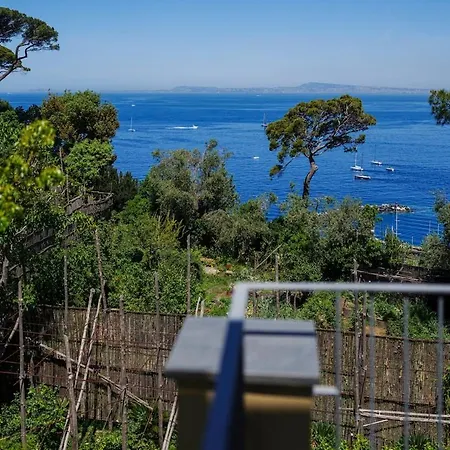 Apartment Preziosa Al Pizzo 3 Km Da Sorrento