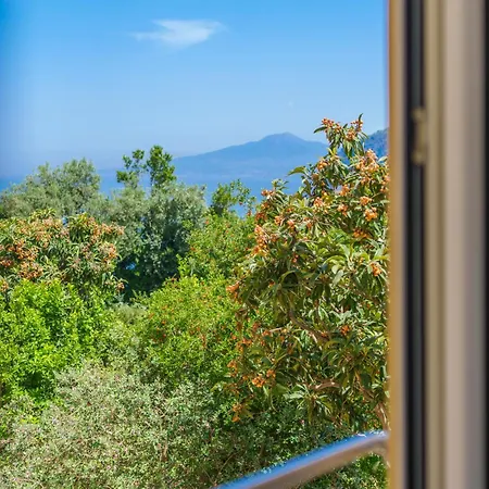 Preziosa Al Pizzo 3 Km Da Sorrento Apartment *