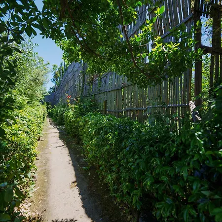 Apartment Preziosa Al Pizzo 3 Km Da Sorrento