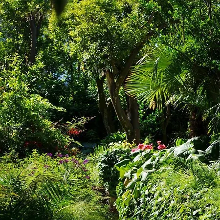 Apartment Preziosa Al Pizzo 3 Km Da Sorrento Sant'Agnello