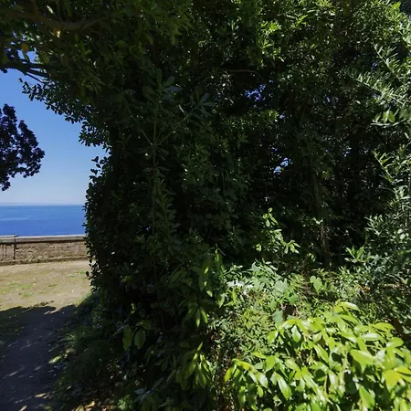 Preziosa Al Pizzo 3 Km Da Sorrento Lägenhet *